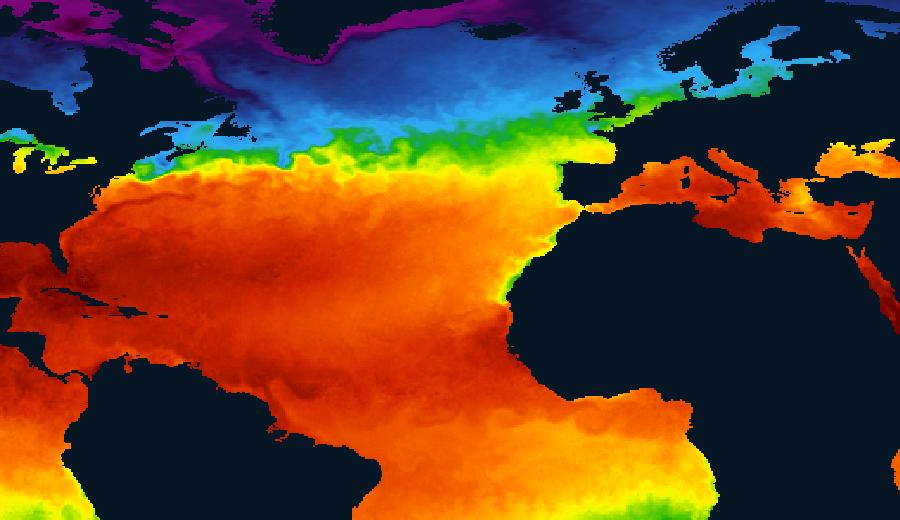 NASA MUR25 sea surface temperature imagery, 7 September 2026